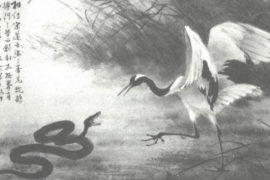 banner_associazione_kienn