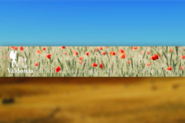 banner_perlavaldorcia